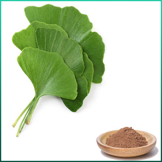 Ginkgo Biloba ekstrakt